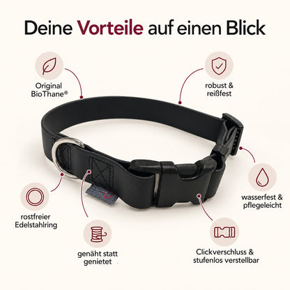 BioThane® Hundehalsband | verstellbar
