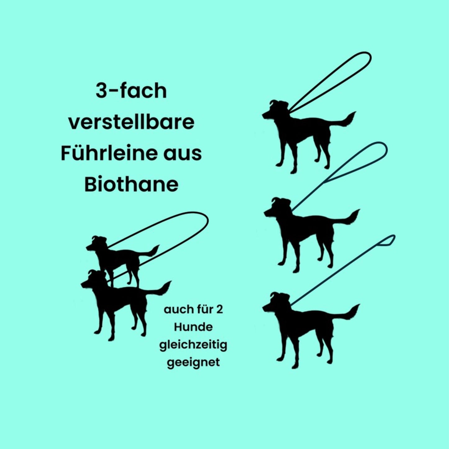 Darstellung der Nutzungsmöglichkeiten einer 3-fach verstellbaren Leine