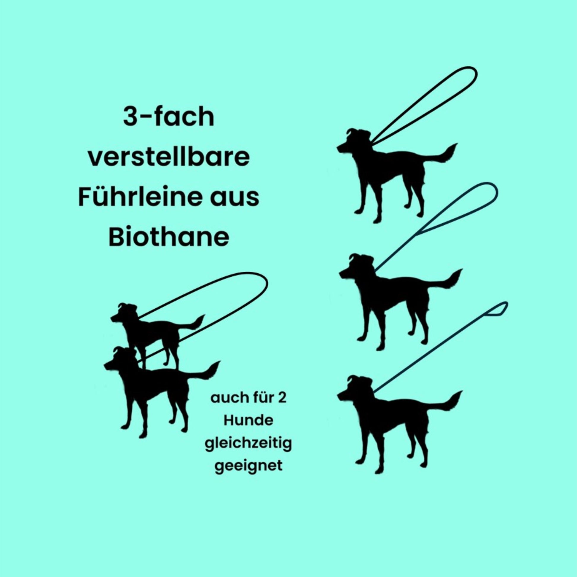 Darstellung der Nutzungsmöglichkeiten einer 3-fach verstellbaren Leine