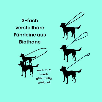 Darstellung der Nutzungsmöglichkeiten einer 3-fach verstellbaren Leine