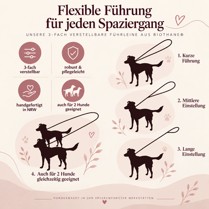 BioThane® verstellbare Führleine | Hundeleine | 2m | genäht